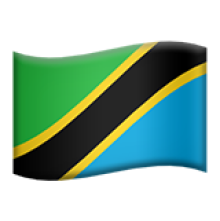 Tanzania flag