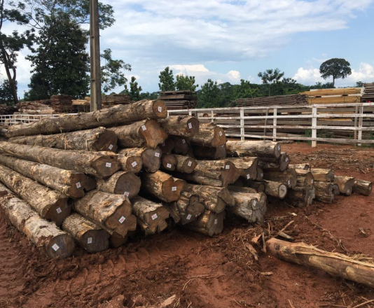 Teak Logs