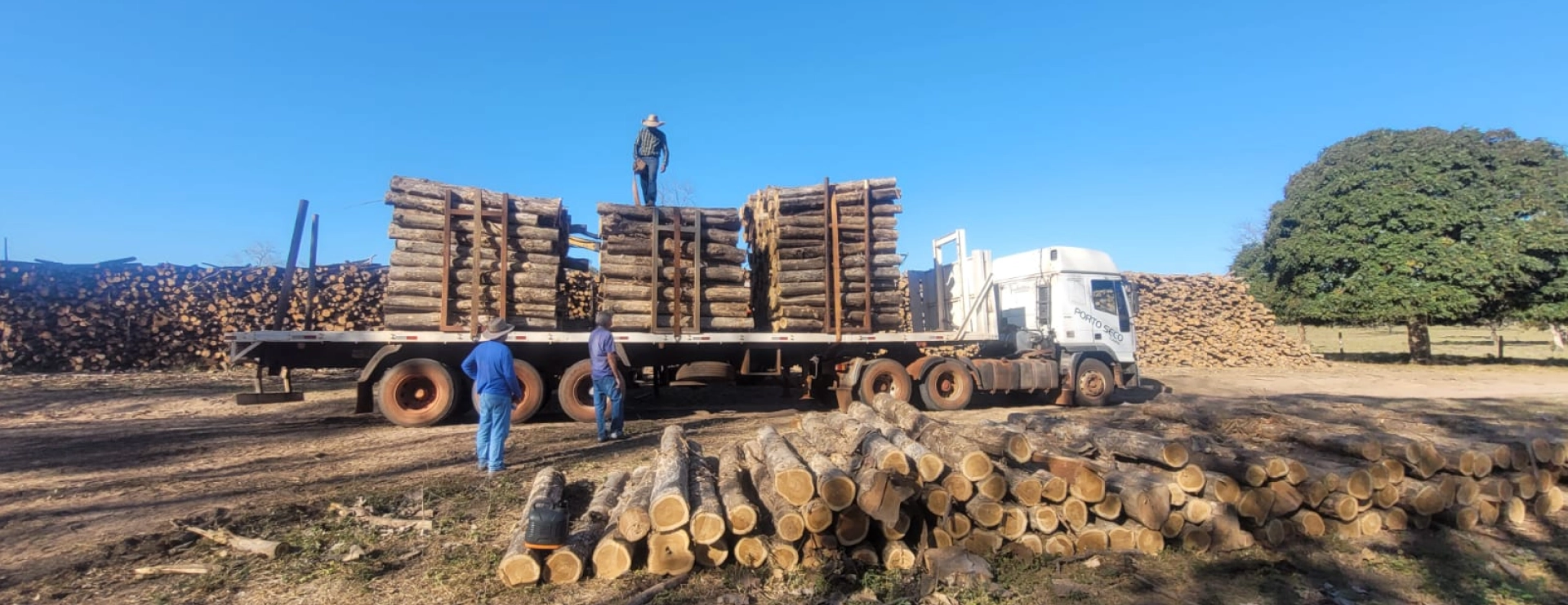Timber